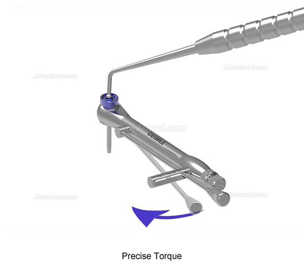 Universal Dental Implant Prosthetic Kit Abutment Driver Torque Wrench Ratchet